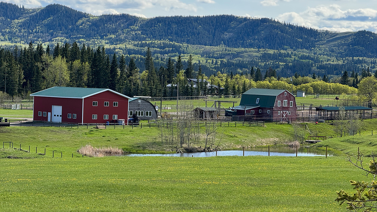 heartland2